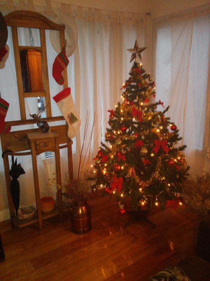 La Casa De Silvia Bed & Breakfast Puerto Madryn Ngoại thất bức ảnh